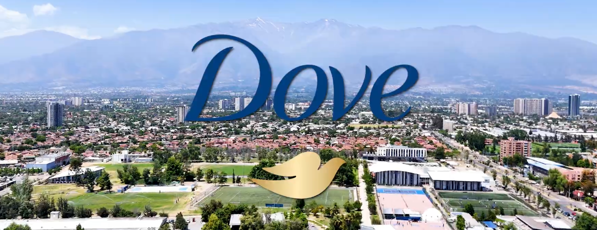 Dove en universidades
